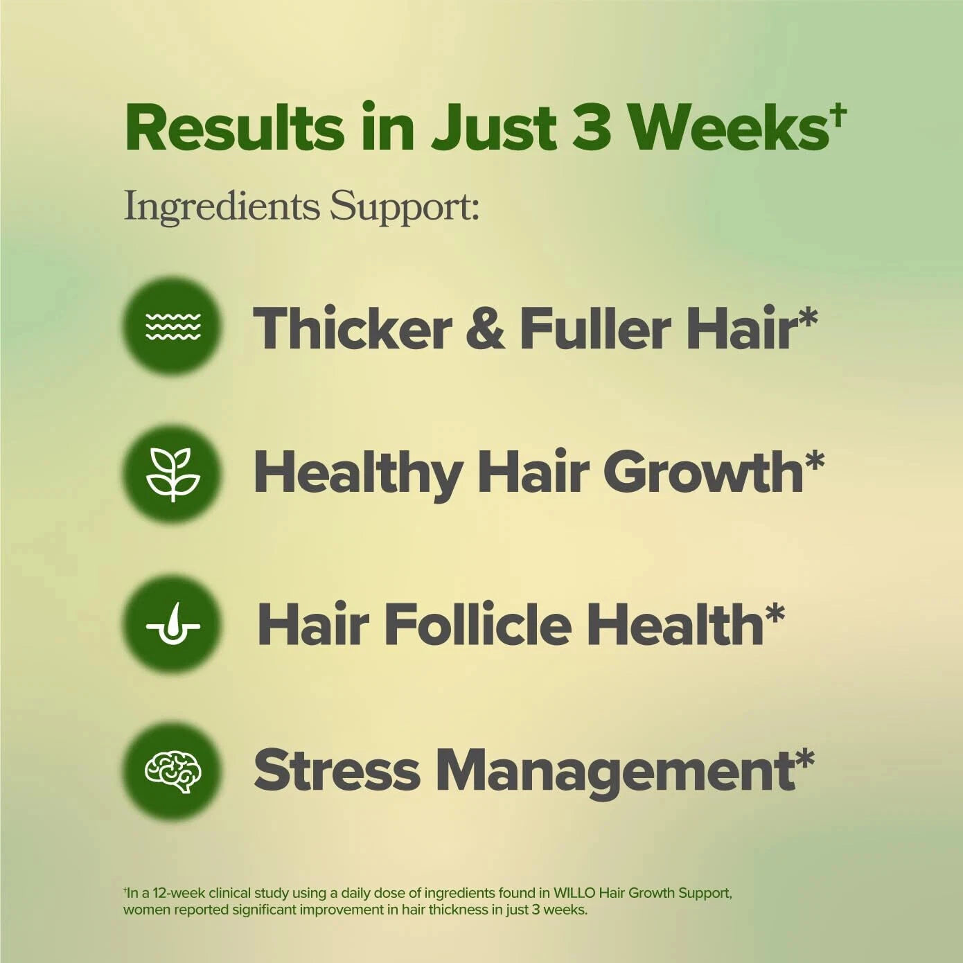 Willo - Hair Growth Support Capsules